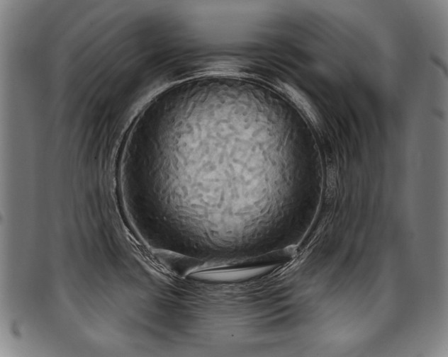 X0000097631435200802291329
