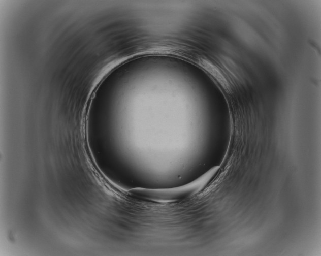 X0000097631436200802291329