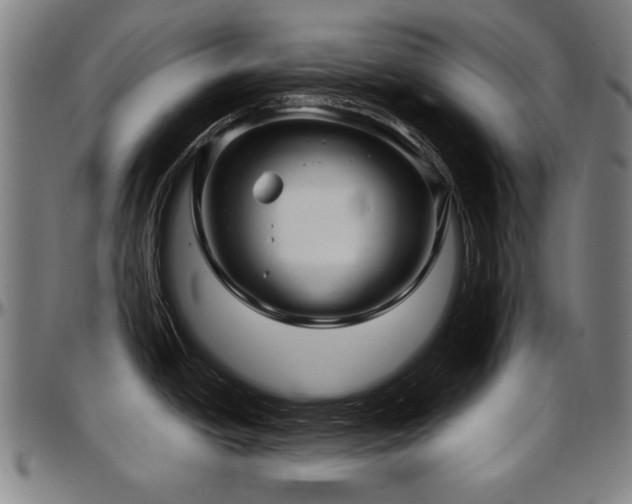X0000097631438200802291329