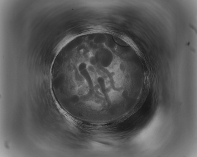 X0000097631439200802291329