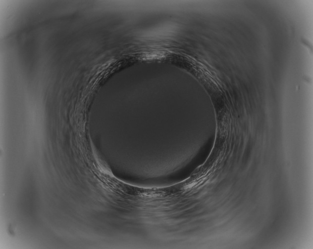 X0000097631441200802291329