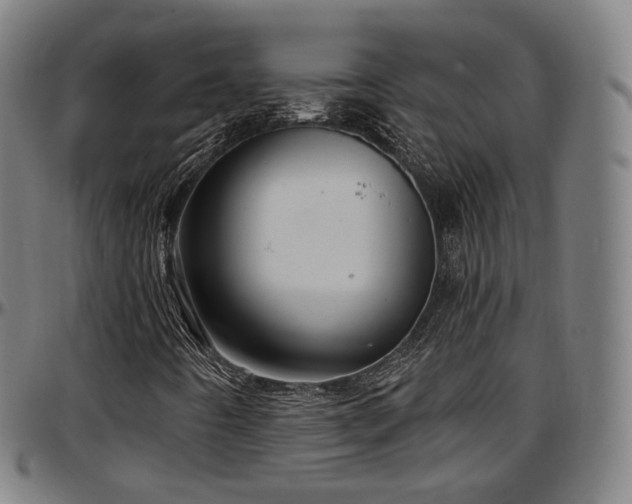 X0000097631442200802291329