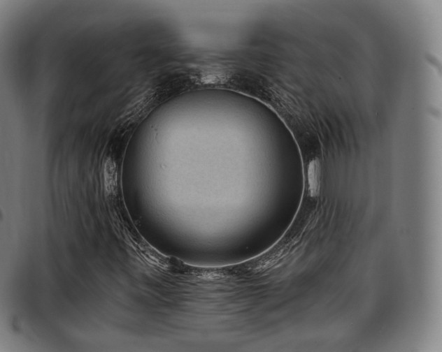 X0000097631443200802291329