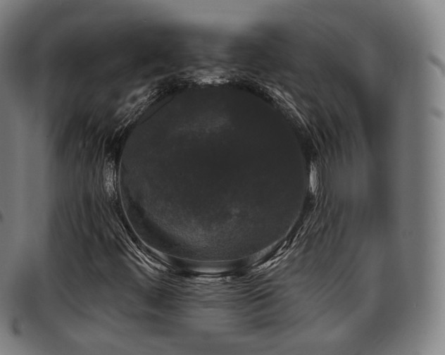 X0000097631444200802291329