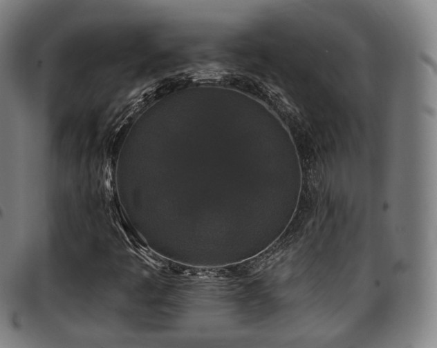 X0000097631445200802291328