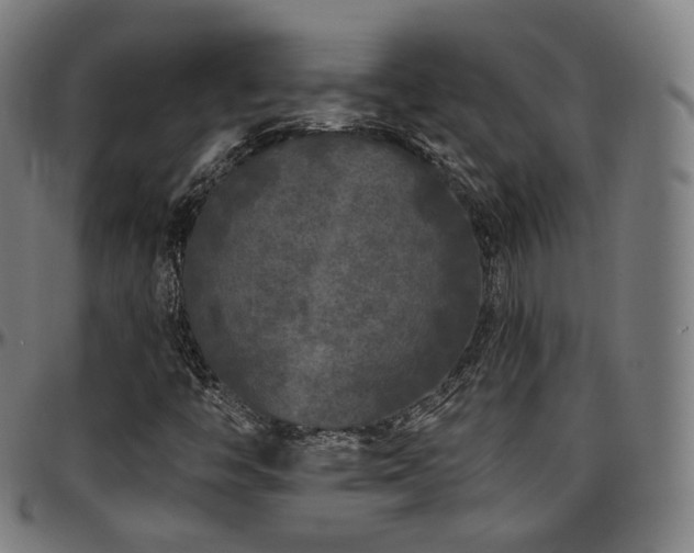 X0000097631446200802291328