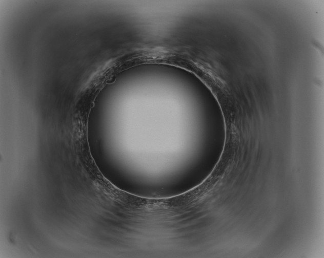 X0000097631447200802291328