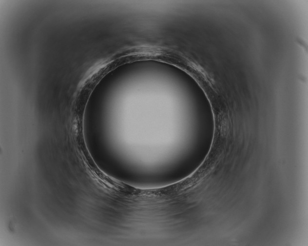 X0000097631448200802291328