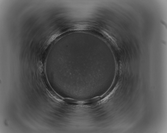 X0000097631449200802291328