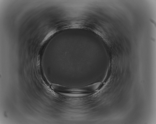 X0000097631450200802291328