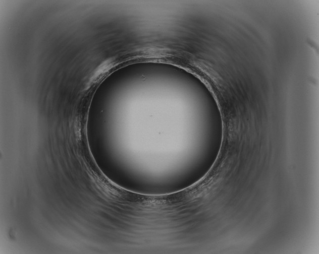 X0000097631451200802291328