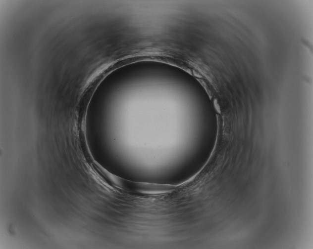 X0000097631452200802291328