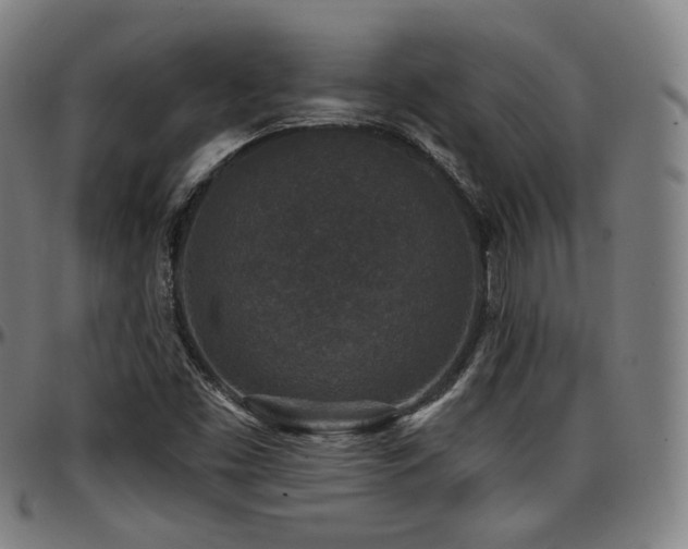 X0000097631453200802291328