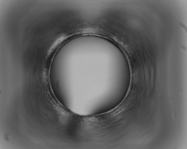 X0000097631454200802291328