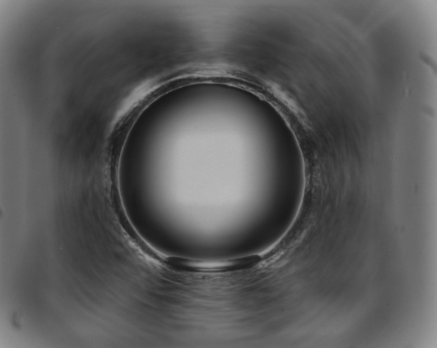 X0000097631456200802291328