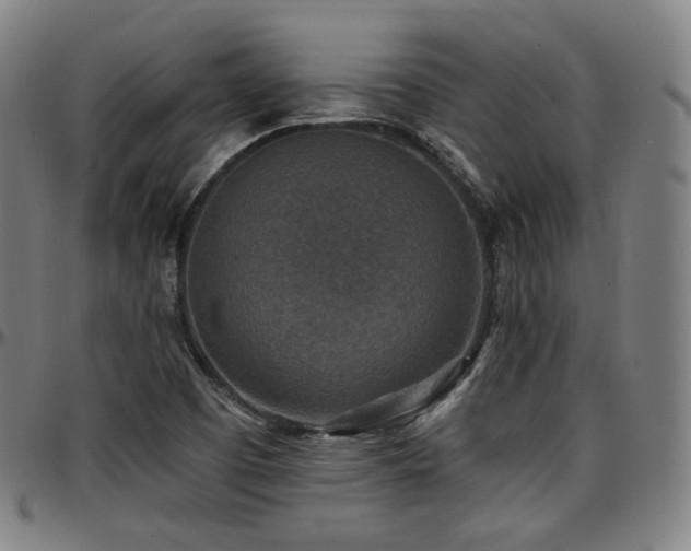 X0000097631457200802291328