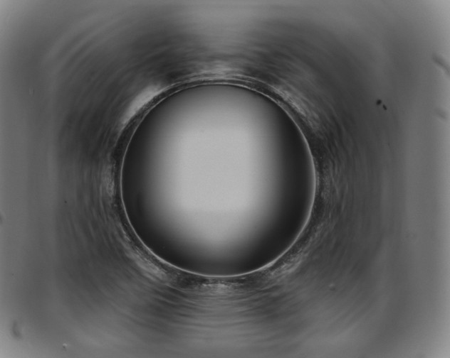 X0000097631458200802291328