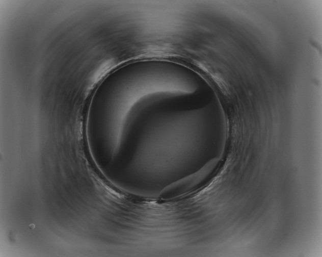 X0000097631459200802291328