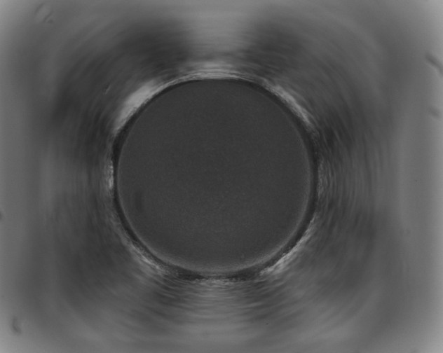 X0000097631461200802291328