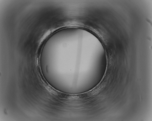 X0000097631462200802291328