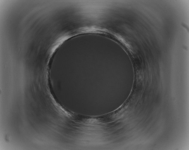X0000097631463200802291328