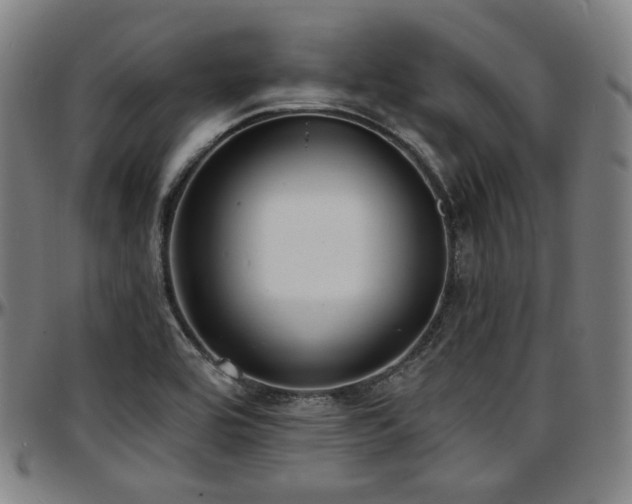 X0000097631464200802291328