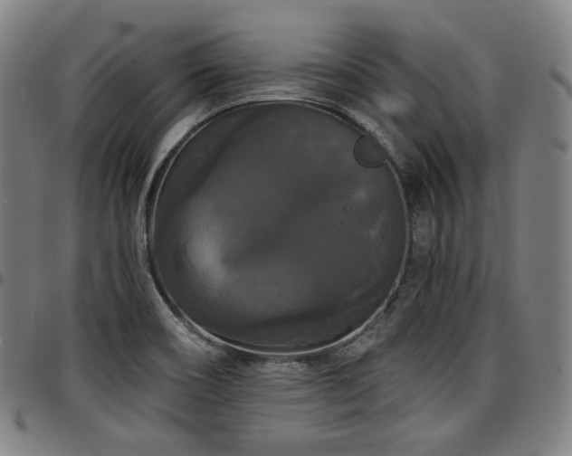 X0000097631466200802291328