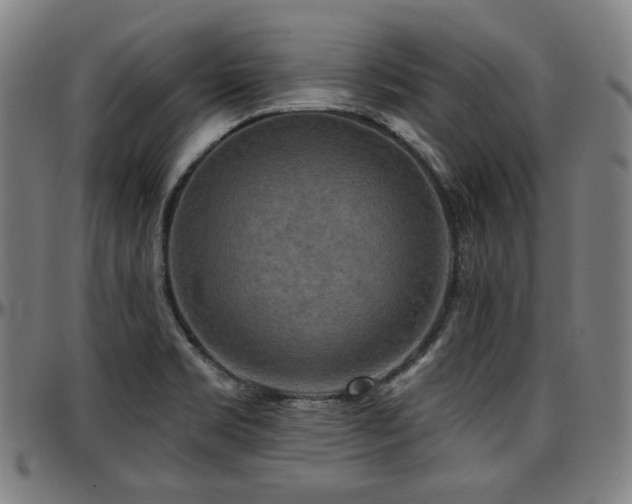 X0000097631469200802291328