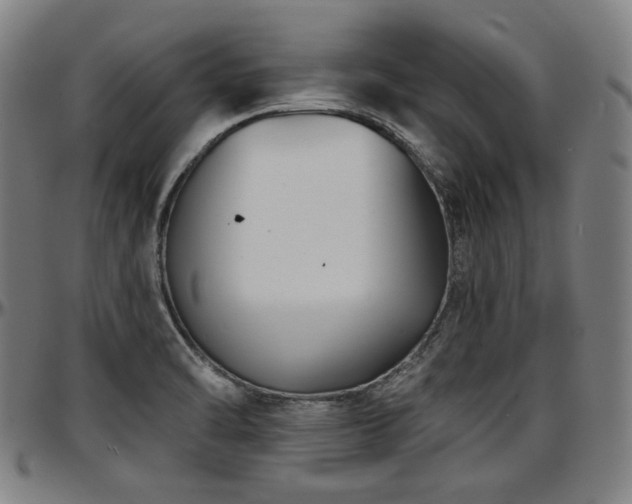 X0000097631470200802291328