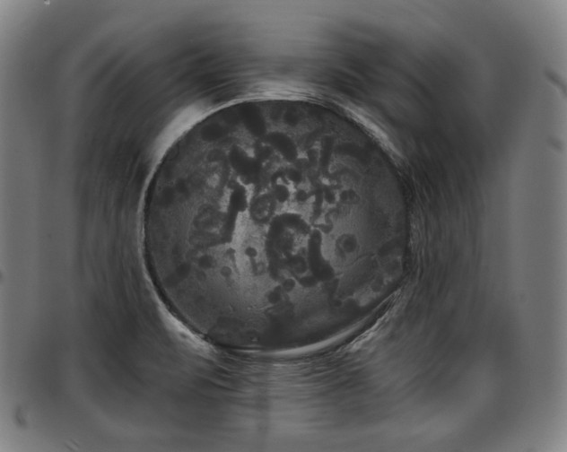 X0000097631471200802291328