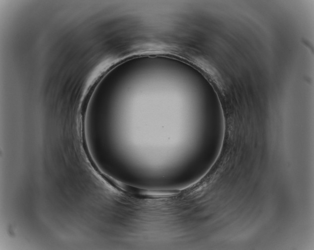 X0000097631472200802291328