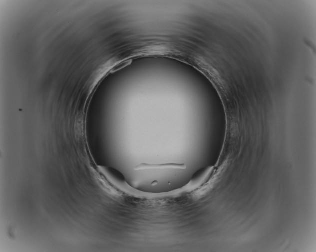 X0000097631473200802291328
