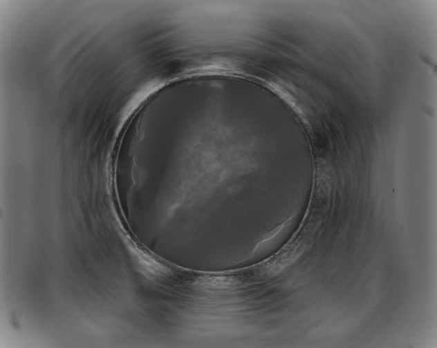X0000097631474200802291328