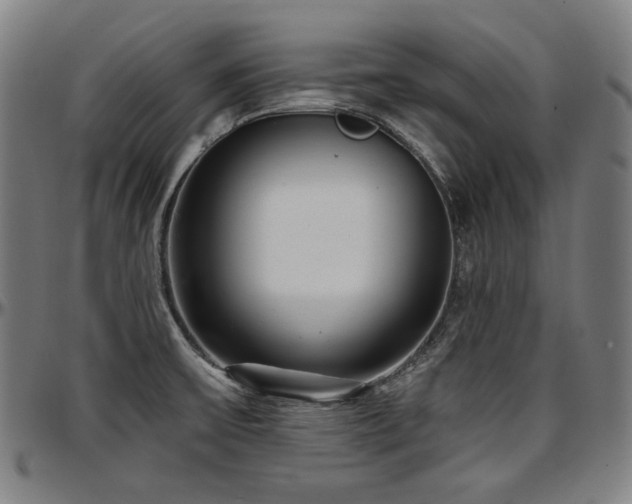 X0000097631475200802291328