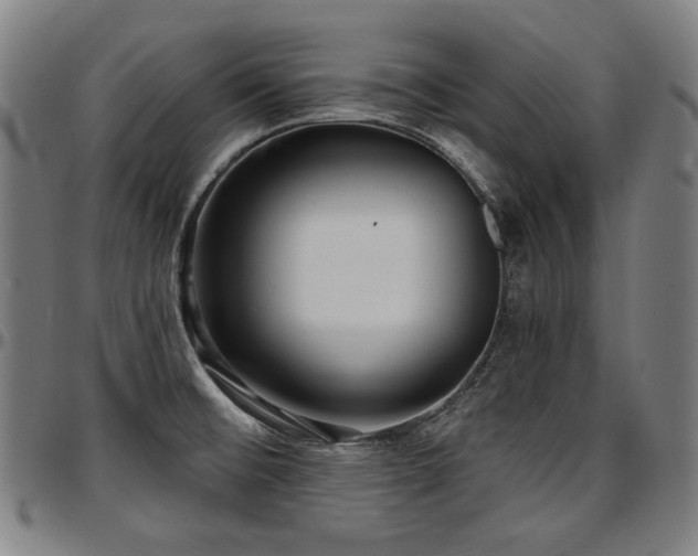 X0000097631476200802291328