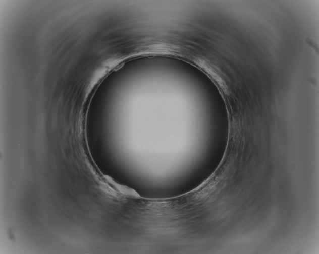 X0000097631477200802291328