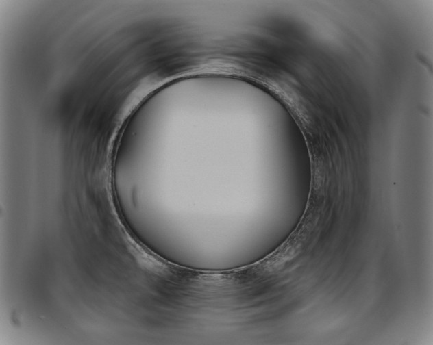 X0000097631478200802291328