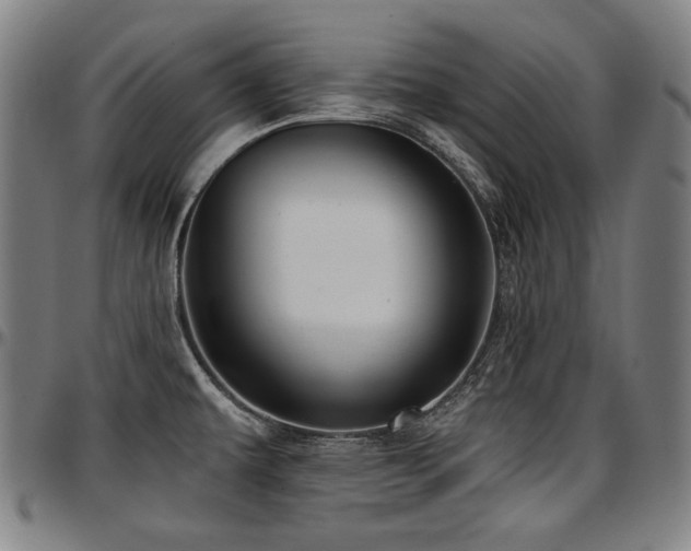 X0000097631479200802291328