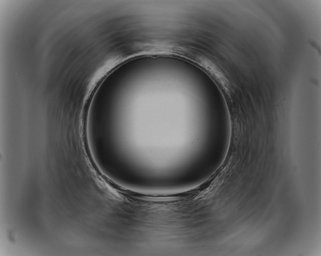 X0000097631480200802291328