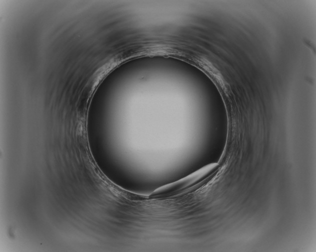 X0000097631481200802291328