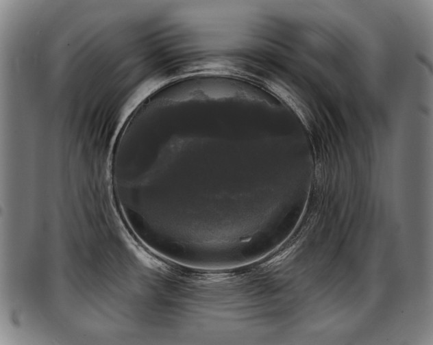 X0000097631482200802291328