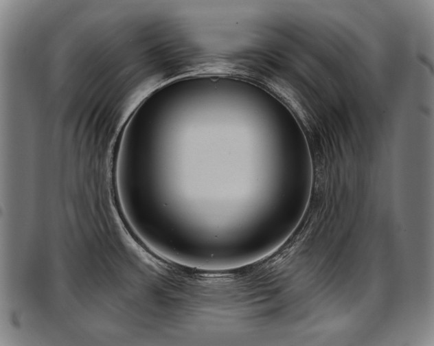 X0000097631483200802291328