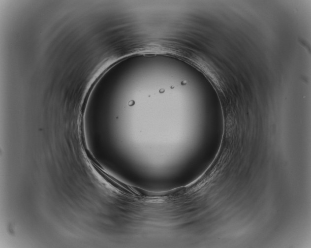 X0000097631484200802291328