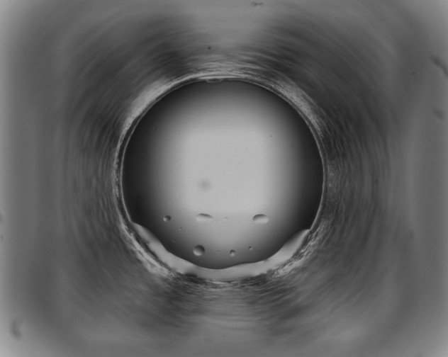 X0000097631485200802291328