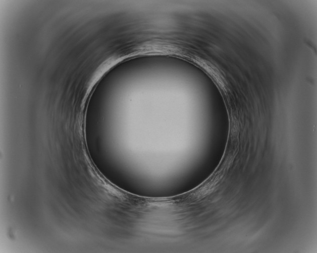 X0000097631486200802291328