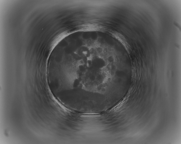 X0000097631487200802291328