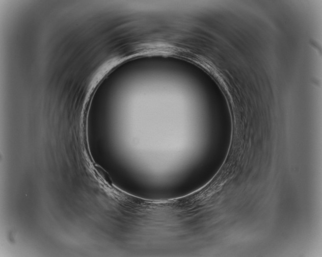 X0000097631488200802291328