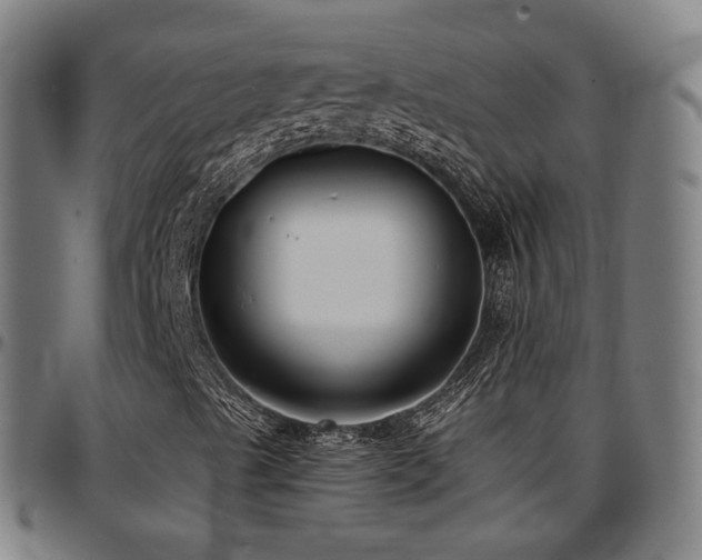 X0000097631489200802291327