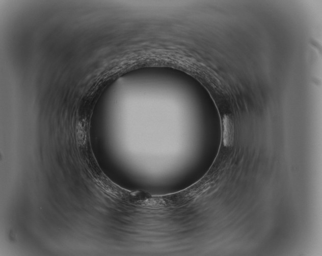 X0000097631491200802291327