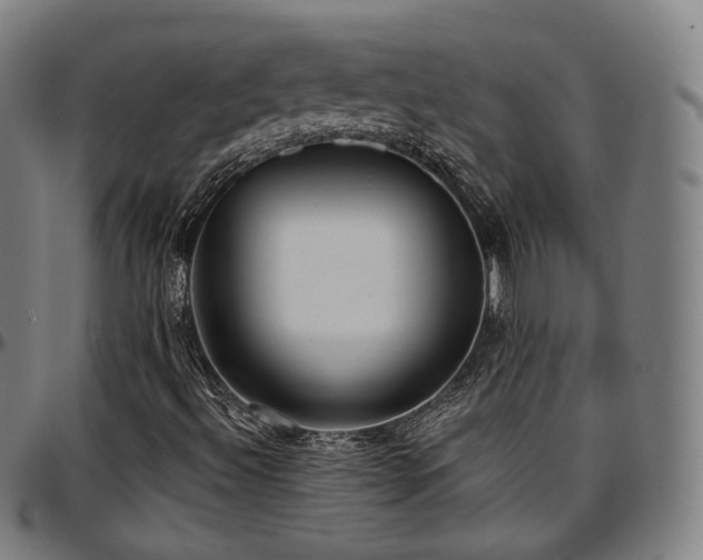 X0000097631492200802291327